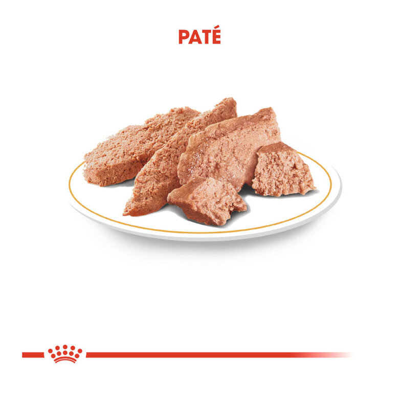 Royal Canin Adult Chihuahua paté en sobre , , large image number null